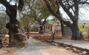 చెట్లు తొలగించకుండానే రోడ్డు.. భారీ వాహనాలు రాకపోకలకు అడ్డంకి